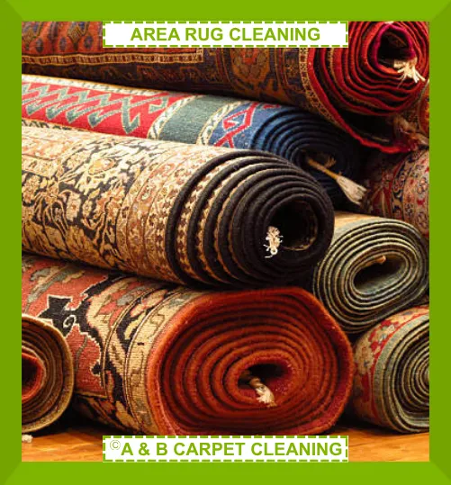 Area Rug Cleaning