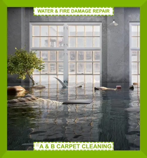 Water and Fire Damage Repair